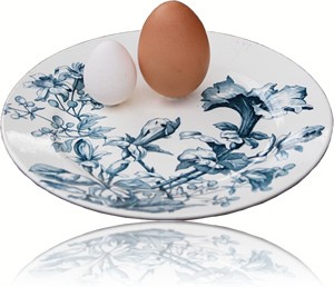 �`���{�̎��R��