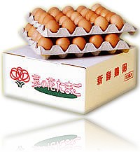 �؂̉Ԃ��܂��i�ԋʁj50��