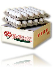 �؂̉Ԃ��܂��i���ʁj50��