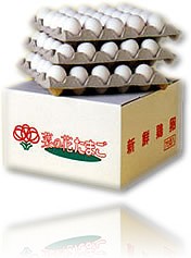 �؂̉Ԃ��܂��i���ʁj75��