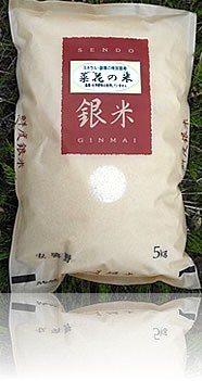 �R�V�q�J���i���āj